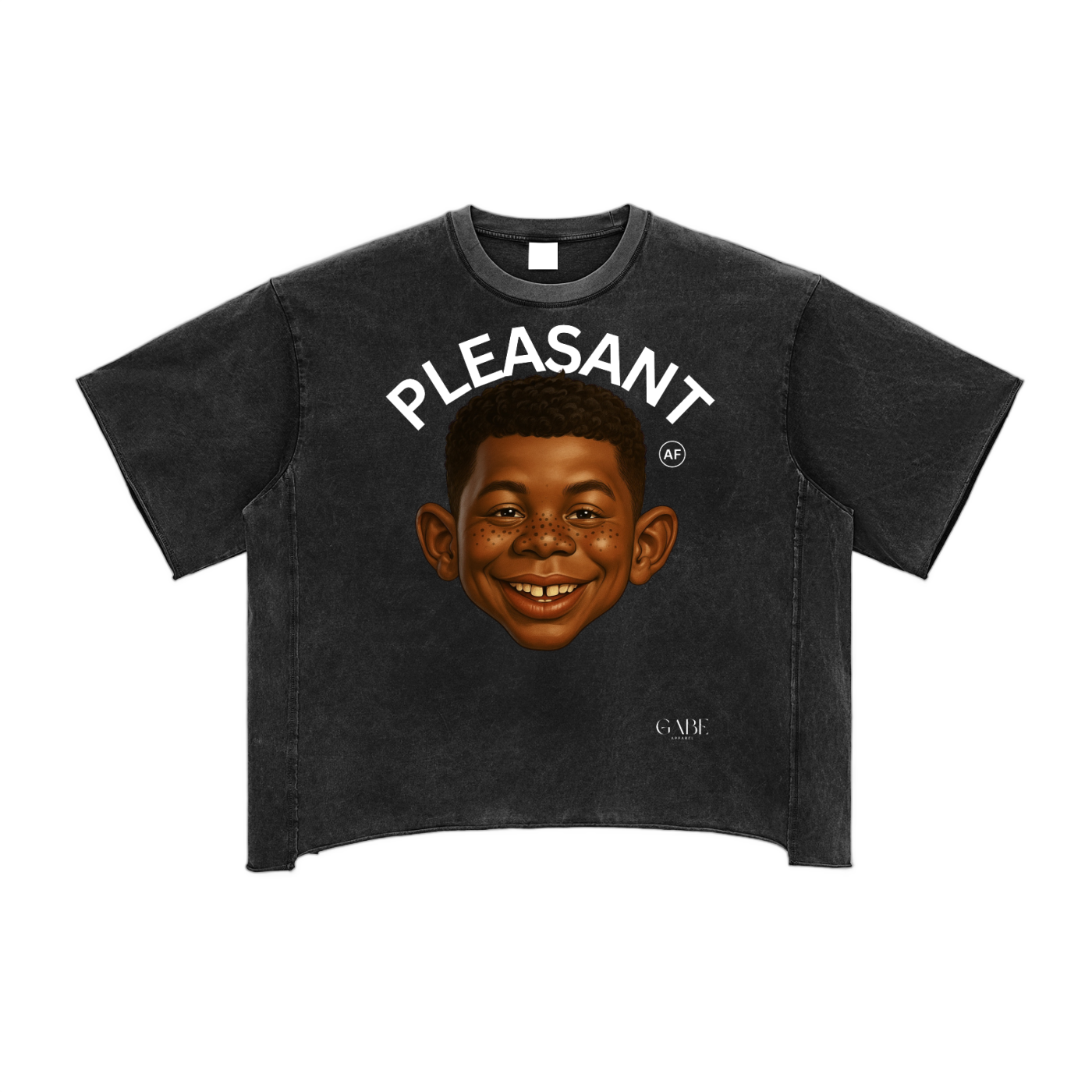 PLEASANT AF Raw Edge Snow Washed Boxy T-Shirt image 0