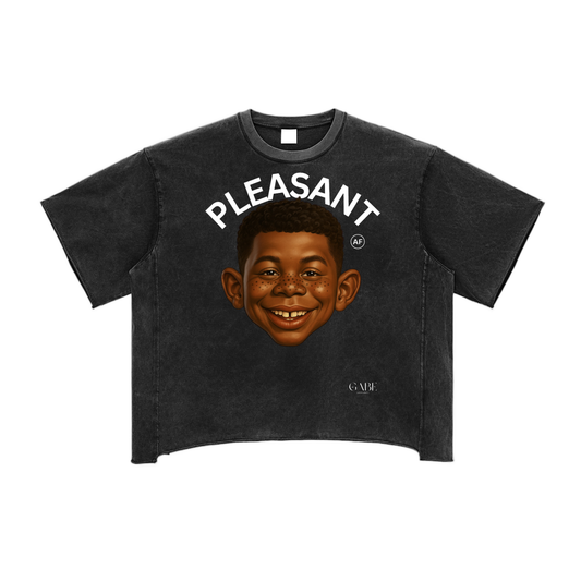 PLEASANT AF Raw Edge Snow Washed Boxy T-Shirt image 0